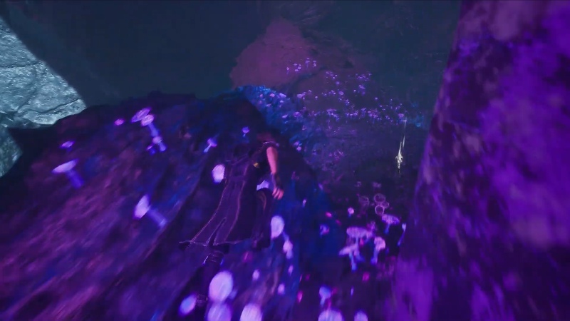 Chroma Esquie Nest Expedition 33