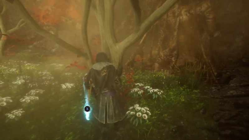 Confident Fighter Pictos Expedition 33